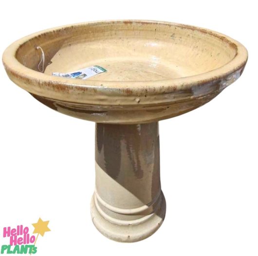 The Sorrento Birdbath Cream 46x60cm features a beige Iridami Relief pattern with a wide, shallow bowl on a pedestal base, and the price tag is visible inside the bowl.