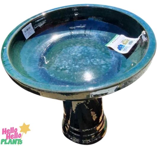 The Sorrento Birdbath in Bottle Green (46x60cm) with its glossy iridami finish comes complete with a price tag and a plant care card inside the basin, adding elegance to any garden.