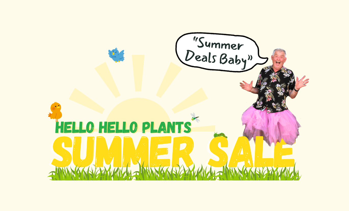 Man in pink tutu with speech bubble declaring "Summer Deals Baby" stands above text "Hello Hello Plants Summer Plant Sale" on a grassy background with sun and birds.