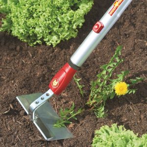 A gardening tool with a steel head is used to remove a dandelion weed from soil, surrounded by green plants.