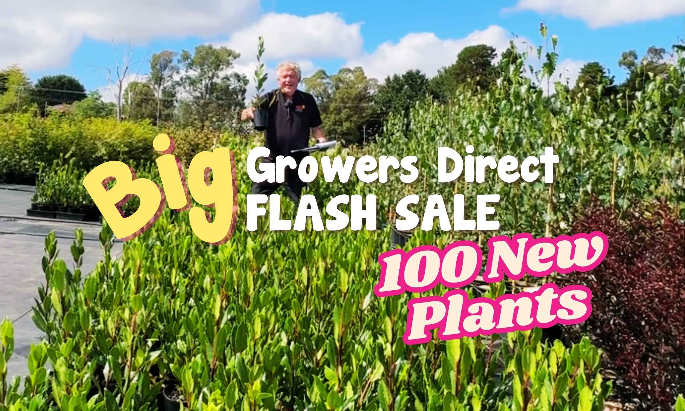 A person stands in a lush field, cradling a small plant. The text reads "Growers Direct Flash Sale" and announces "100 New Plants." Against the backdrop of a clear blue sky and towering trees, it's a perfect day for green-thumb enthusiasts.