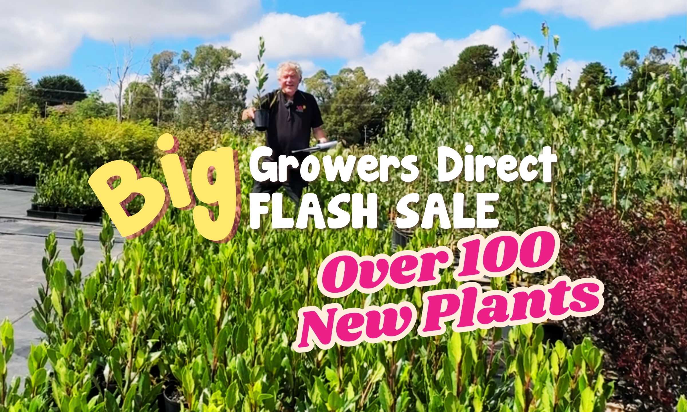 A person stands amidst lush greenery at a garden center, cradling a vibrant plant. The scene is set against a backdrop of towering trees. Text reads: "Don't miss the Growers Direct Flash Sale: Over 100 New Plants!.