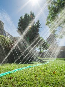 A garden sprinkler watering a green lawn under bright sunlight, with trees and bushes in the background.