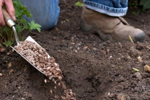 Person in boots adding gravel to a trench in soil with a trowel, next to green plants.