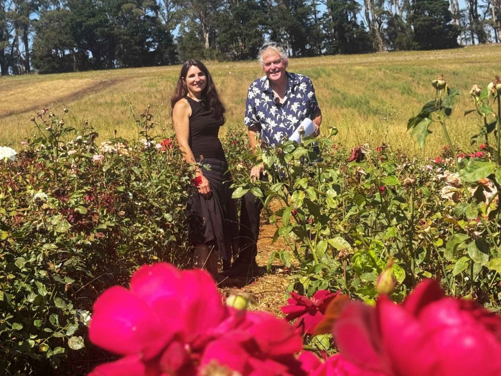 Two people stand in a field of roses, their senses enveloped by the enchanting rose smell, with vibrant red flowers in the foreground and trees gently framing the background.