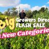 In a lush garden, a person cradles a plant under the text: "Huge Growers Direct Flash Sale: Discover 3 New Categories!.