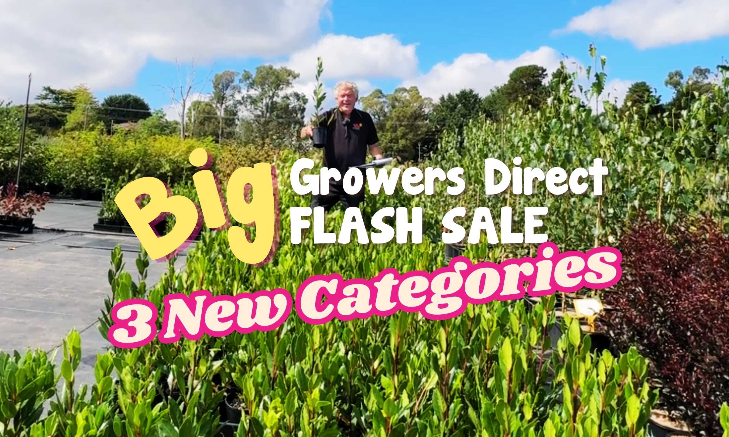 ALL NEW Growers Direct Flash Sale!