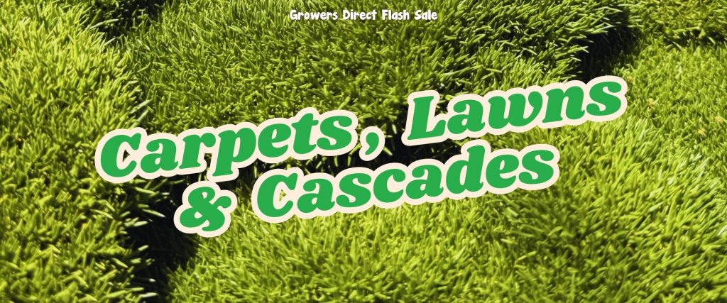 Text reading "Carpets, Lawns & Cascades" over green grass serves as a backdrop. The prominently displayed "Growers Direct Flash Sale" at the top signals unbeatable deals for all your lawn and garden needs.