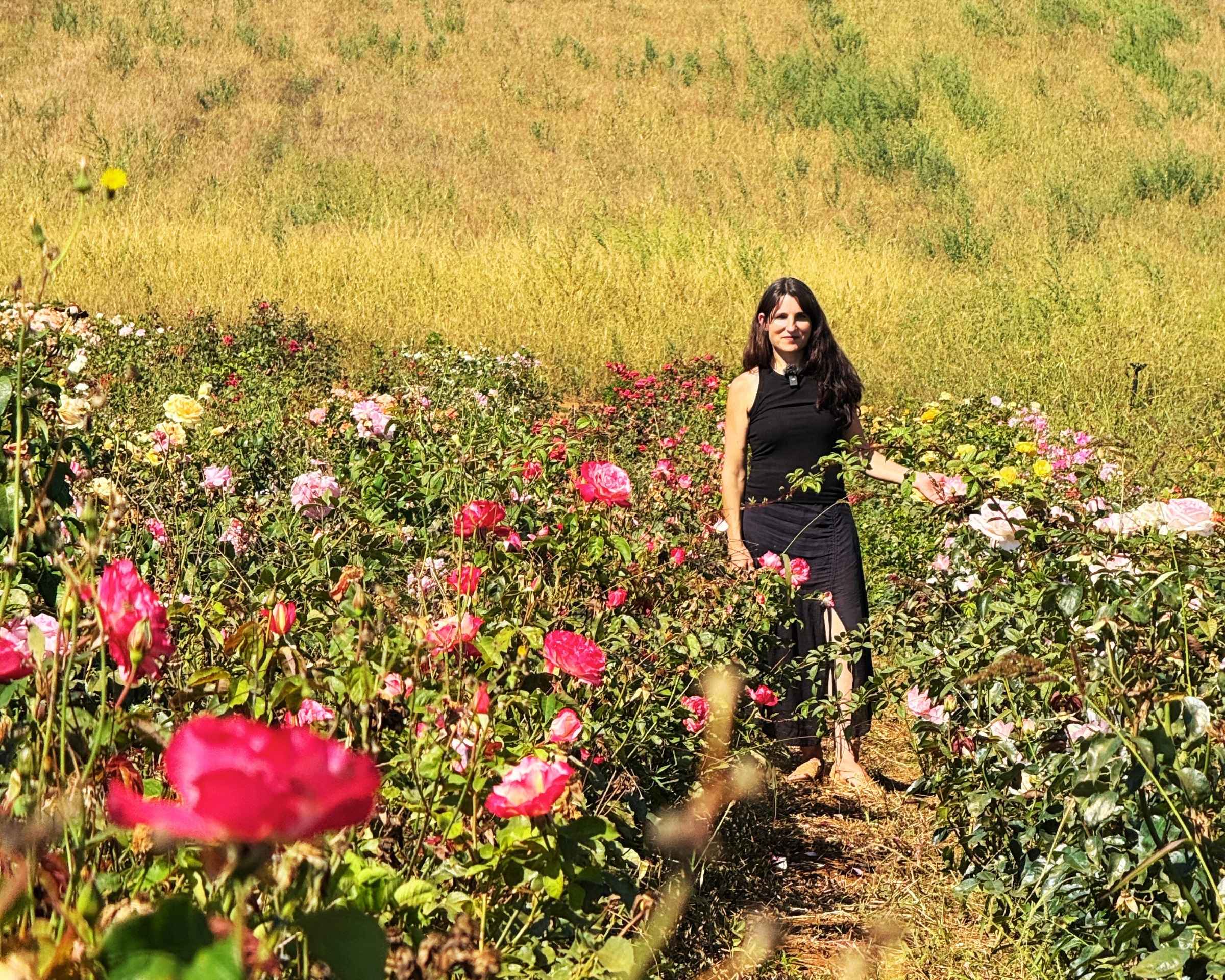 A woman in a black dress strolls through a field of colorful roses, their enchanting scent perfuming the air, with a grassy hill providing the perfect backdrop.