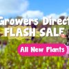 A cheerful person in a tutu joyfully poses at a plant nursery. Text reads: "Growers Direct Flash Sale - All New Plants.