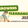 Illustration of a person planting a seedling, accompanied by text: "Winter Plant Clearance Sale 2024" and "Hundreds of Plants on Sale.