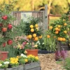 In a garden where the cost of gardening crisis is solved, potted apple and orange trees thrive amidst vibrant flowers, with a sturdy wooden fence framing the scene.