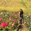 A woman in a black dress strolls through a field of colorful roses, their enchanting scent perfuming the air, with a grassy hill providing the perfect backdrop.