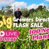 Amid a lush nursery, a man cradles a vibrant plant. Text announces, "Growers Direct Flash Sale today—100 New Plants to Discover!.