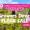 Graphic for a live shopping event featuring a person in a floral shirt and pink tutu. Text reads: "Live Shopping Event! Today. Don't miss the Growers Direct Flash Sale from 12PM-2PM.