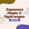 Graphic with text "Japanese Maple & Hydrangea Show" featuring illustrations of maple and hydrangea leaves, set against an abstract background with green and purple shapes—a serene escape where the cost of gardening crisis is cleverly solved.