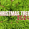 A close-up of vibrant green pine needles with the text "Christmas Trees 2024" elegantly overlaid in bold red and white letters, capturing the festive essence of Christmas trees.